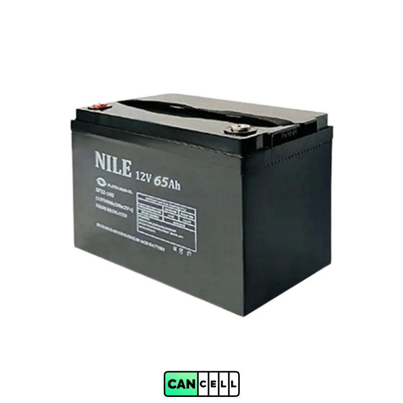 باتری یو&zwnj;پی&zwnj;اس نیل ۱۲ ولت ۶۵ آمپر مدل NBT-12V-65Ah
